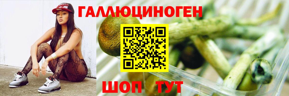 Псилоцибиновые грибы ЛСД Раменское