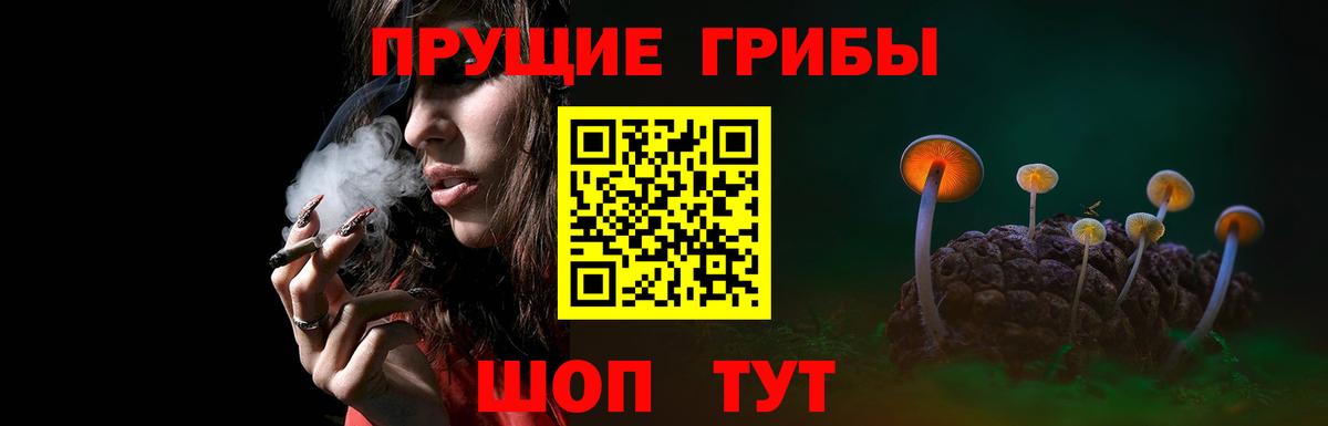 Галлюциногенные грибы Psilocybe  Вход с VPN  Раменское 